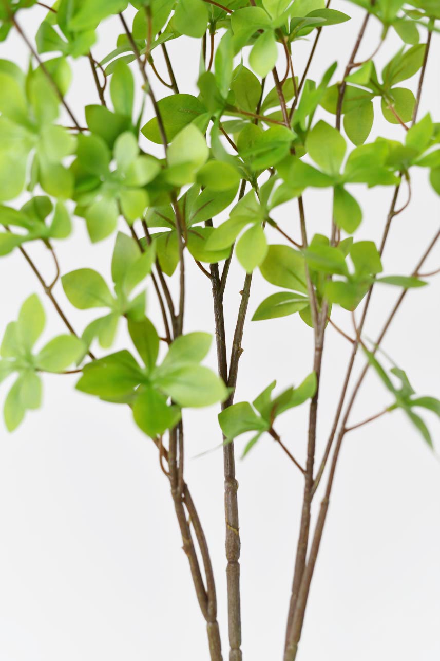 Large silk blooming arrangement with faux light green enkianthus perulatus, perfect for any space.