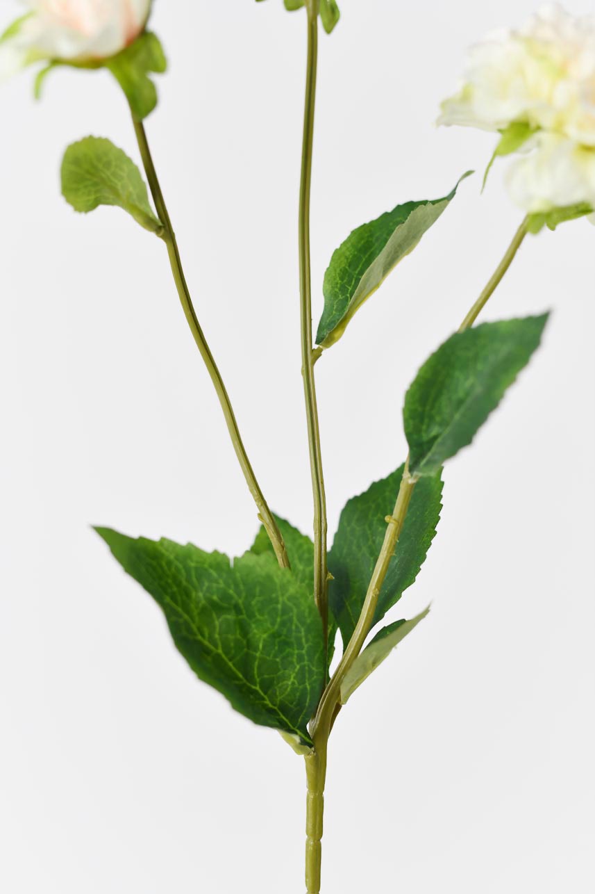 Realistic-looking long stems of blush peach silk peony flowers, perfect for creating floral arrangements or adding a pop of color to your decor.