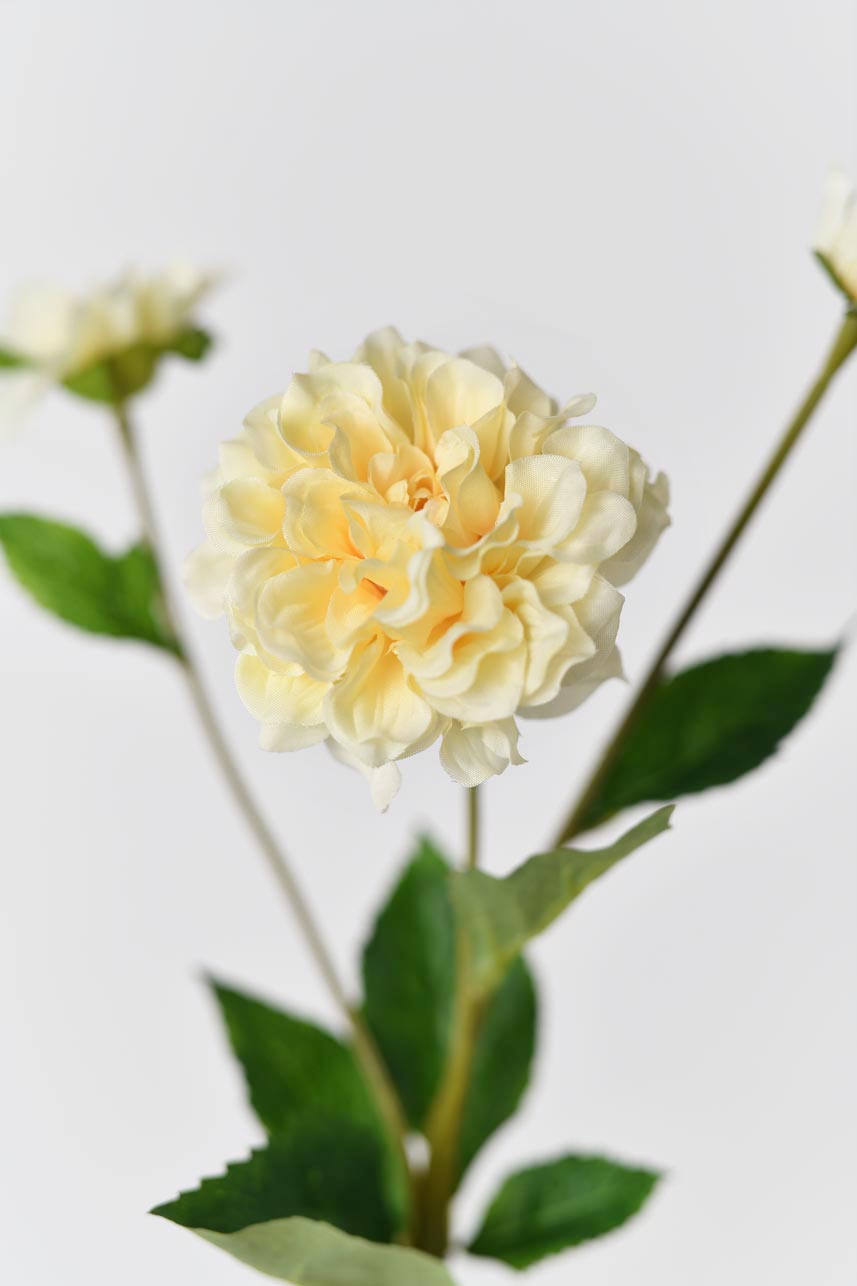 A bundle of silk Paeonia petals in yellow and peach colors, great for crafting or decorating projects.