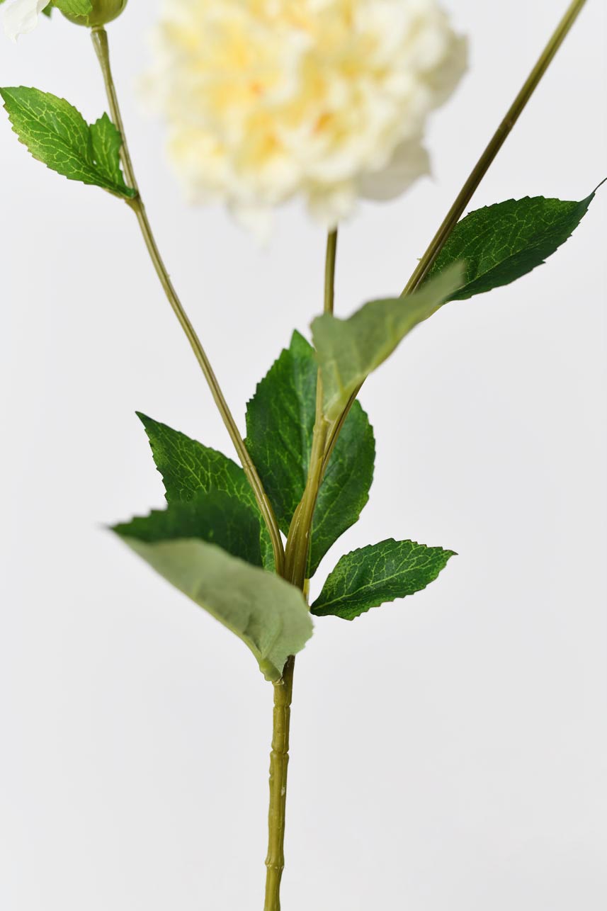 A set of silk Paeonias in yellow and peach colors with long stems, perfect for professional florists or creating stunning floral arrangements.