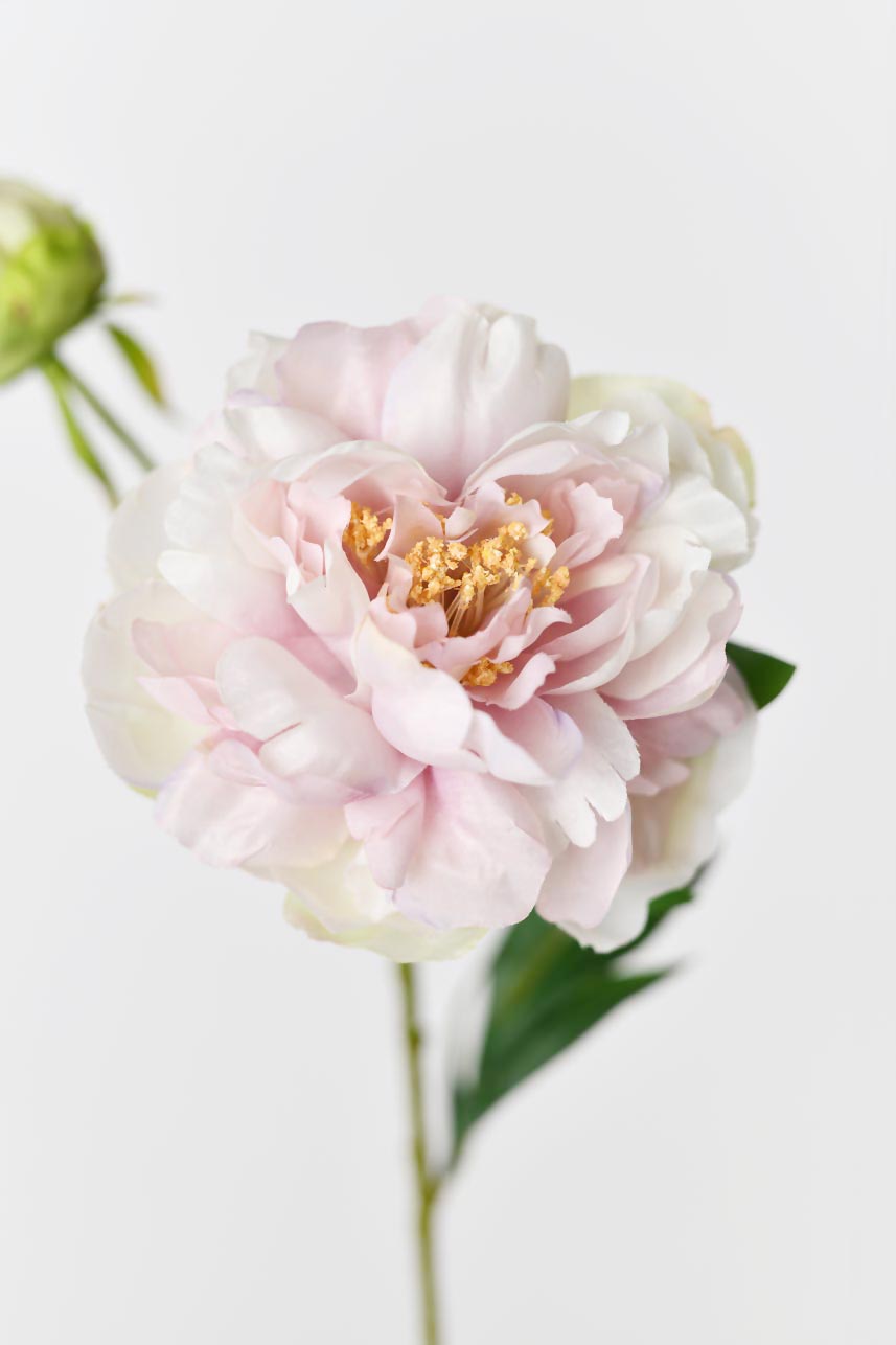 A bundle of silk Phoenix peony petals in pastel lavender, pink and cream colors, perfect for crafting or decorating purposes..