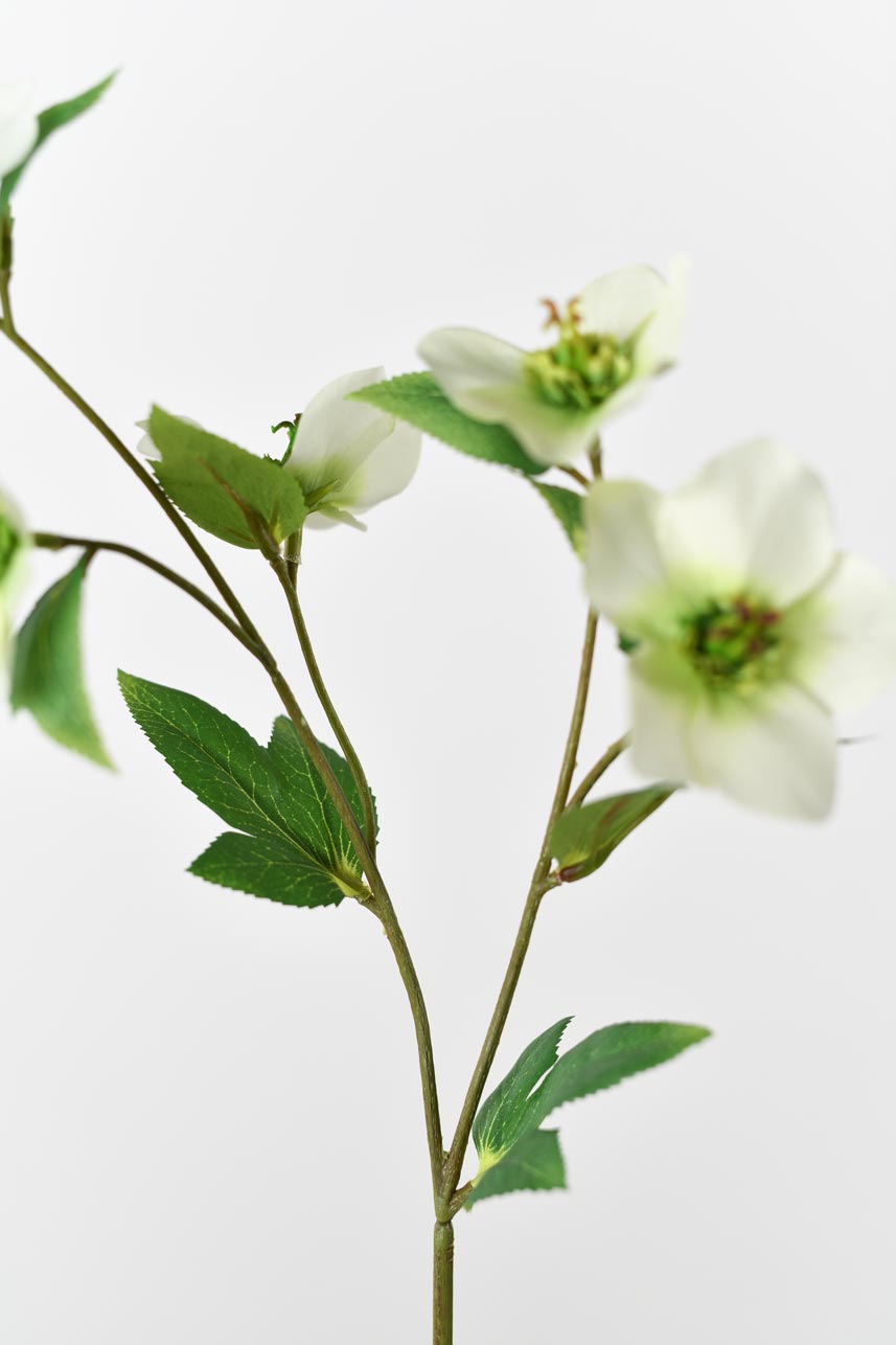 Artificial Soft Green Helleborus Blossom Branch with Faux Plant Stems, 19 Inches Tall.