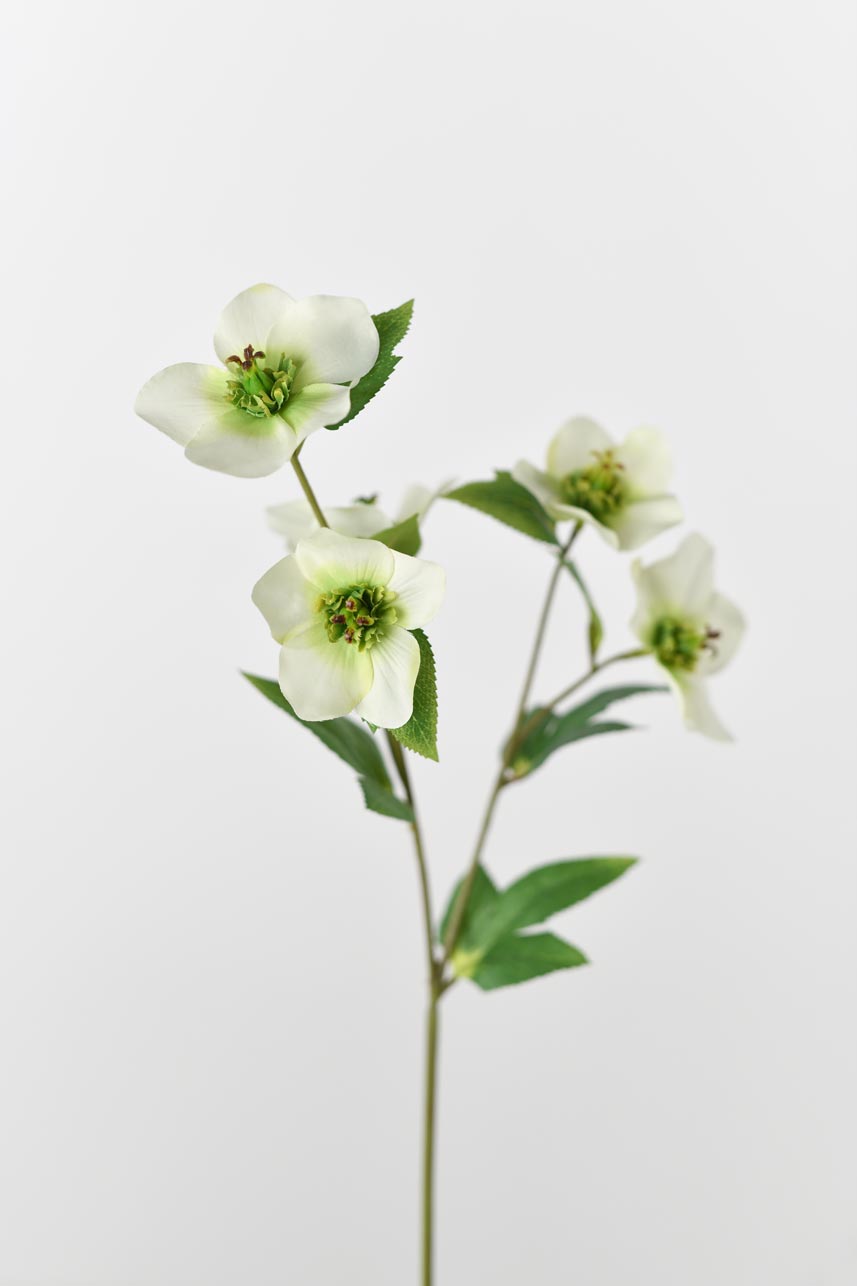 Faux Helleborus Blossom Branch, Soft Green, 19 Inches Tall, Perfect for Floral Arrangements.