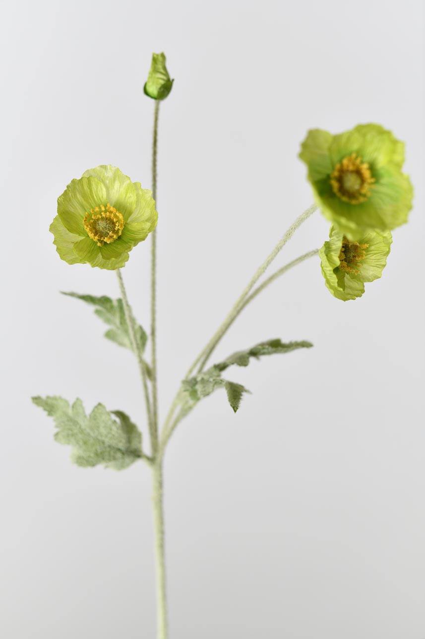 A perfect decoration for any home with this lifelike and beautiful faux papaver rhoeas flower in soft green color. Its faux stem and petals make it look realistic and natural.