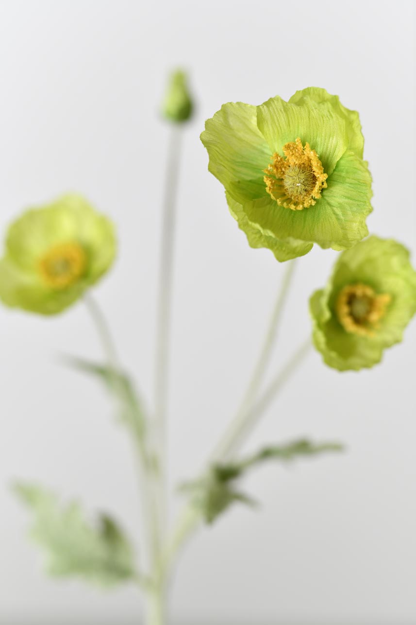 A decorative and lifelike faux papaver rhoeas flower in soft green color with faux stems that make it look like a real flower. Great for adding a touch of beauty to any space.