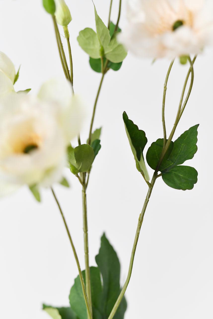 A set of artificial yellow and peach anemone flowers with long, lifelike stems, perfect for creating beautiful arrangements or using in crafting projects. Stands at 37 inches in height.