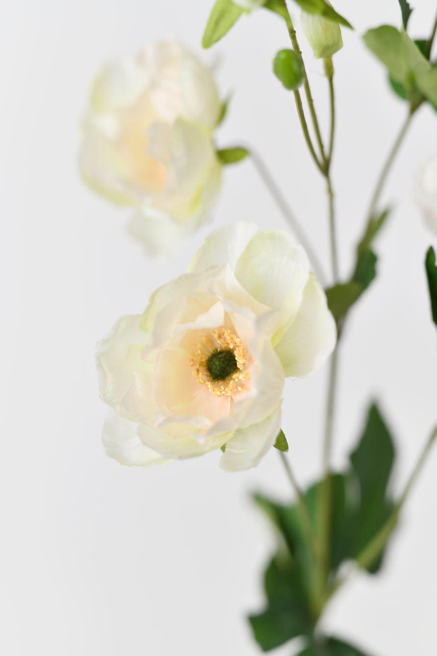 A bundle of yellow and peach artificial anemone flowers with realistic, touchable petals and long stems. Stands at 37 inches in height.
