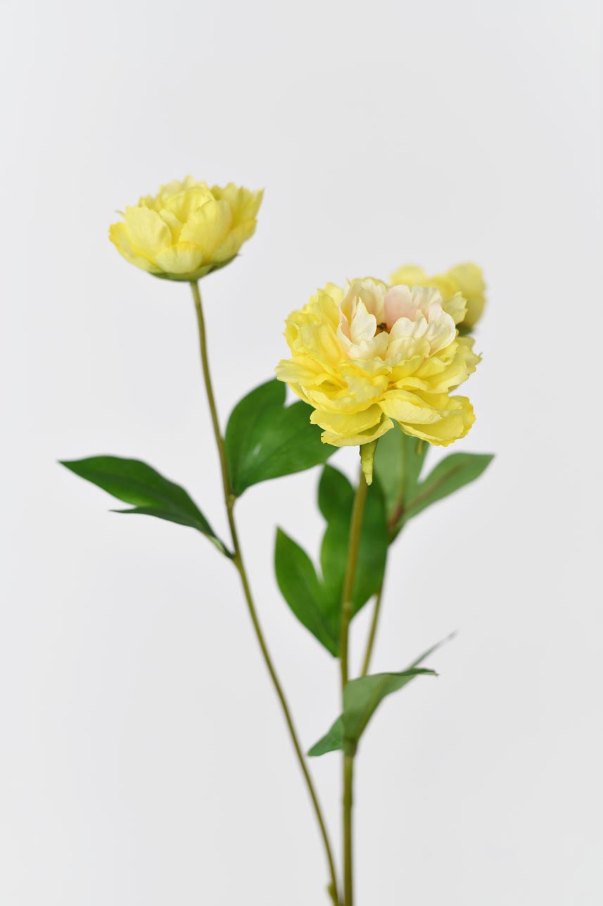 Faux yellow peony petals and stems for crafting or decoration purposes, featuring a realistic touch and feel.