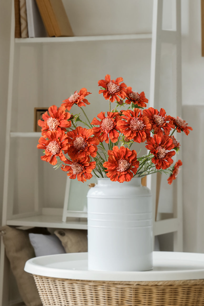 Faux orange scabiosa atropurpurea flower always looks vibrant, it is suitable for modern home style, try it on the table.