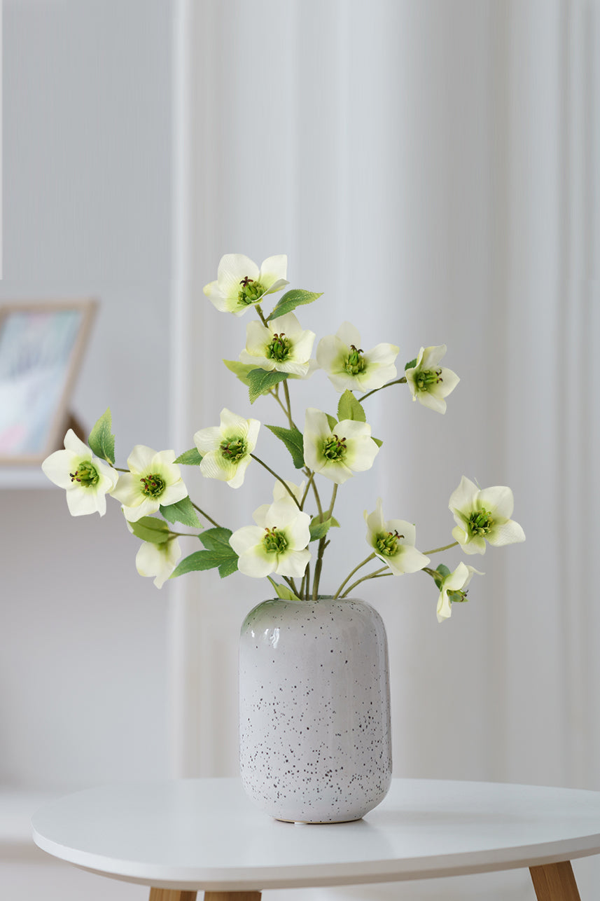 These remarkable flowers bloom amidst the cold and snow, proudly displaying their elegant green petals.