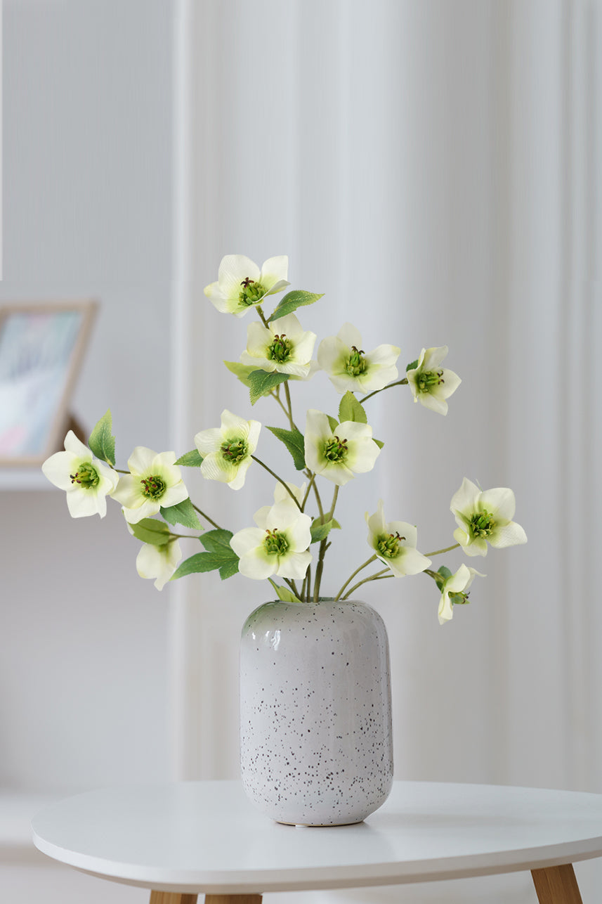 These remarkable flowers bloom amidst the cold and snow, proudly displaying their elegant green petals. 