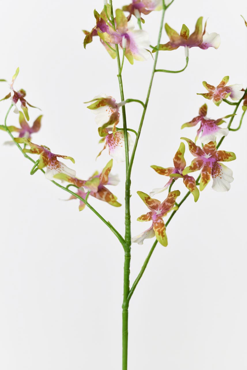 Realistic and lifelike oncidium silk flowers in white and green, with bright green leaves.