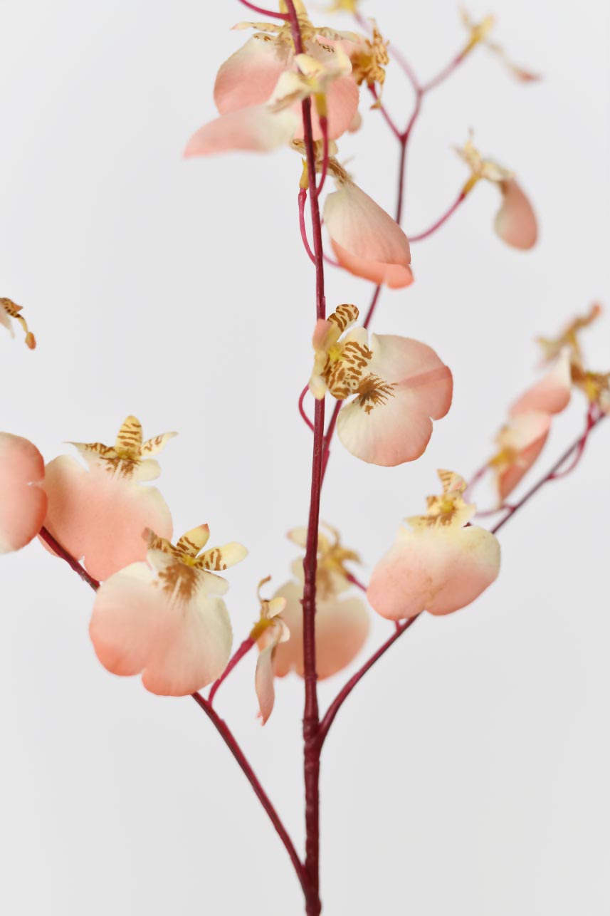 Realistic coral pink dancing orchid flowers, 32 inches tall, with detailed stems and leaves, providing a realistic and natural touch to your decor.