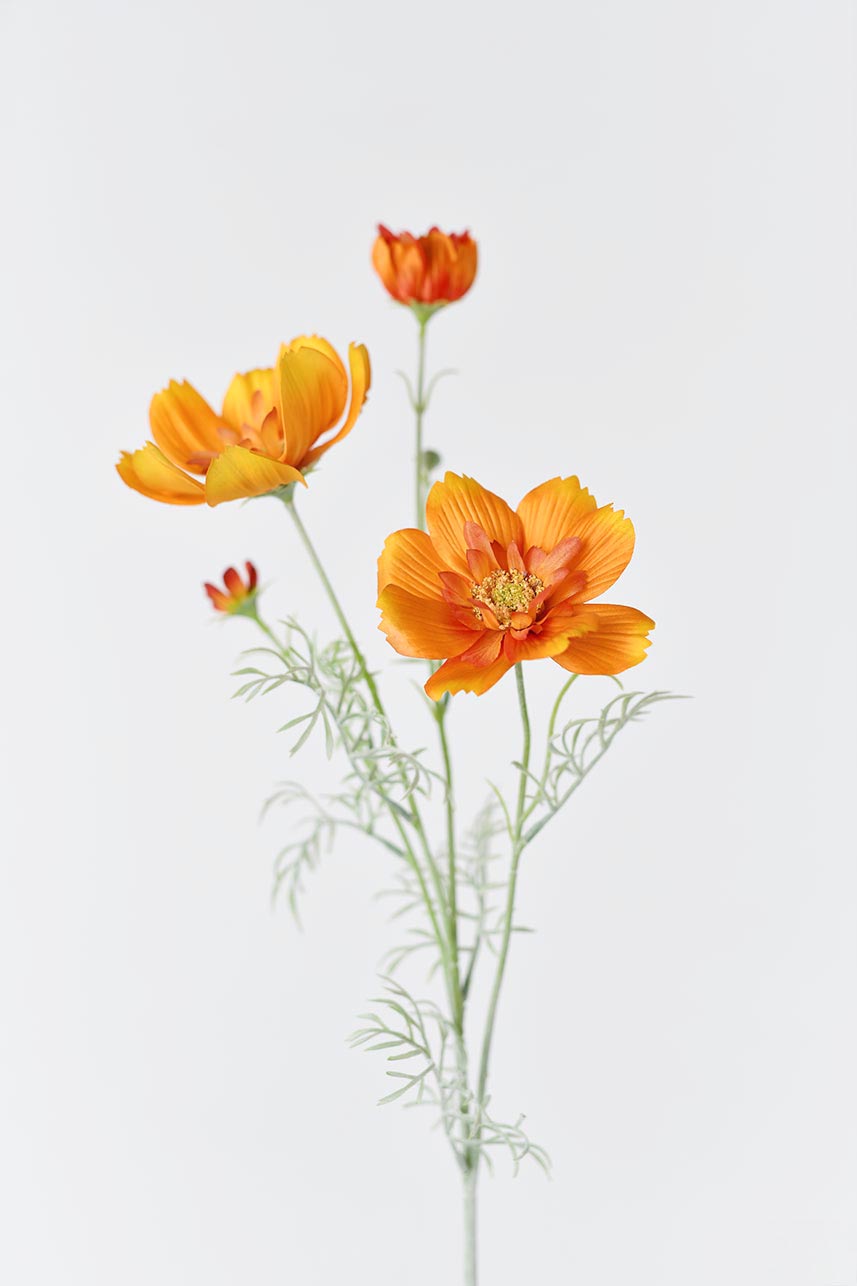 Artificial Cosmos Sulphureus Silk Flower in Orange - 31"