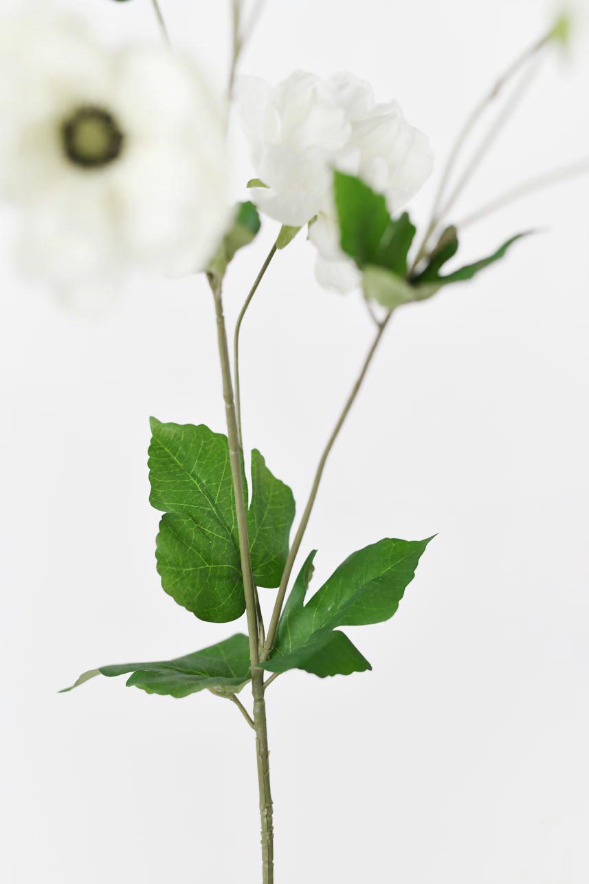 A bundle of cream and white fake anemone flowers with real touch stems, 37 inches tall. Perfect for adding a touch of elegance to your decor.