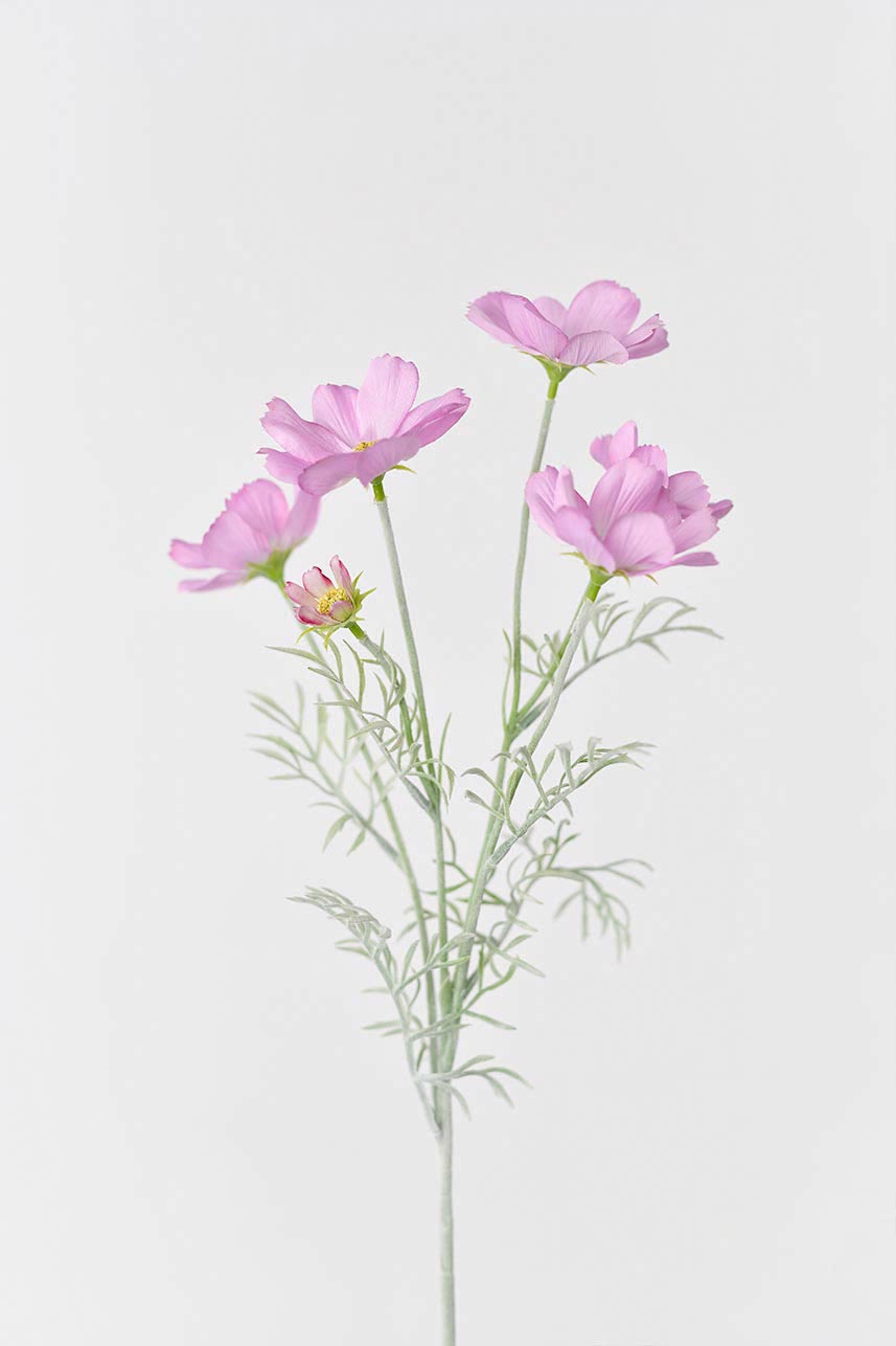 Artificial lavender pink cosmos flowers with 24-inch stems
