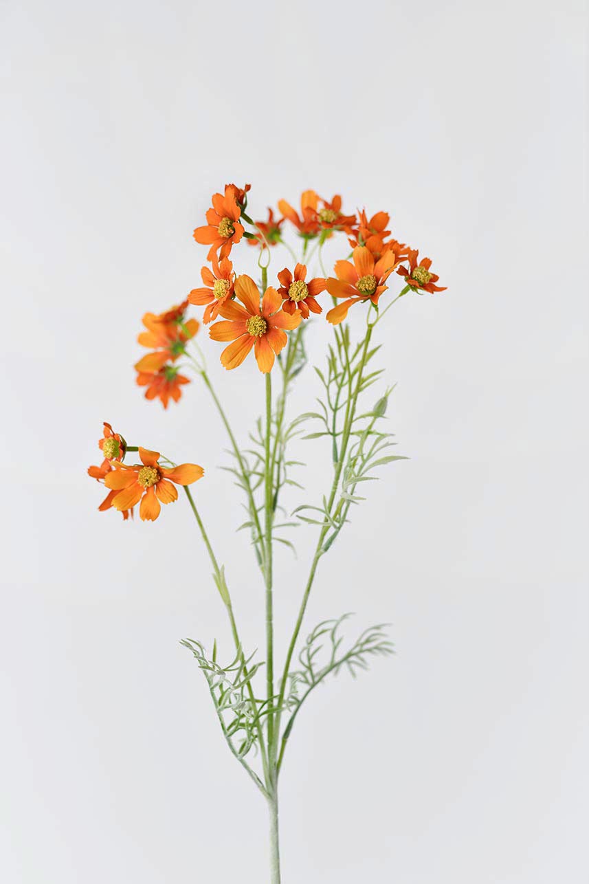A bunch of faux orange cosmos flowers with artificial petals and stems.