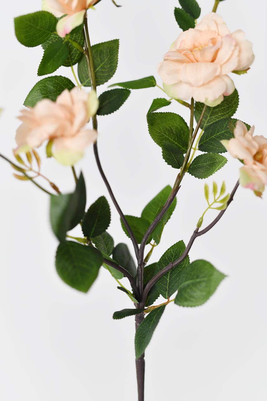 A decorative and lifelike faux iceberg rose flower in a peach color with a long faux stem. Great for adding a touch of elegance and beauty to any space.