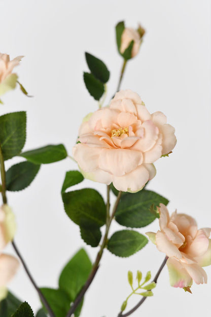 A lifelike and stunning faux iceberg rose flower in a peach color with faux stems that make it look like a real flower. Perfect for creating beautiful floral arrangements or adding a touch of elegance to any space.