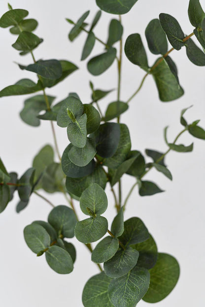 High-quality artificial green eucalyptus branches with spiral leaves, providing a realistic touch to your decor