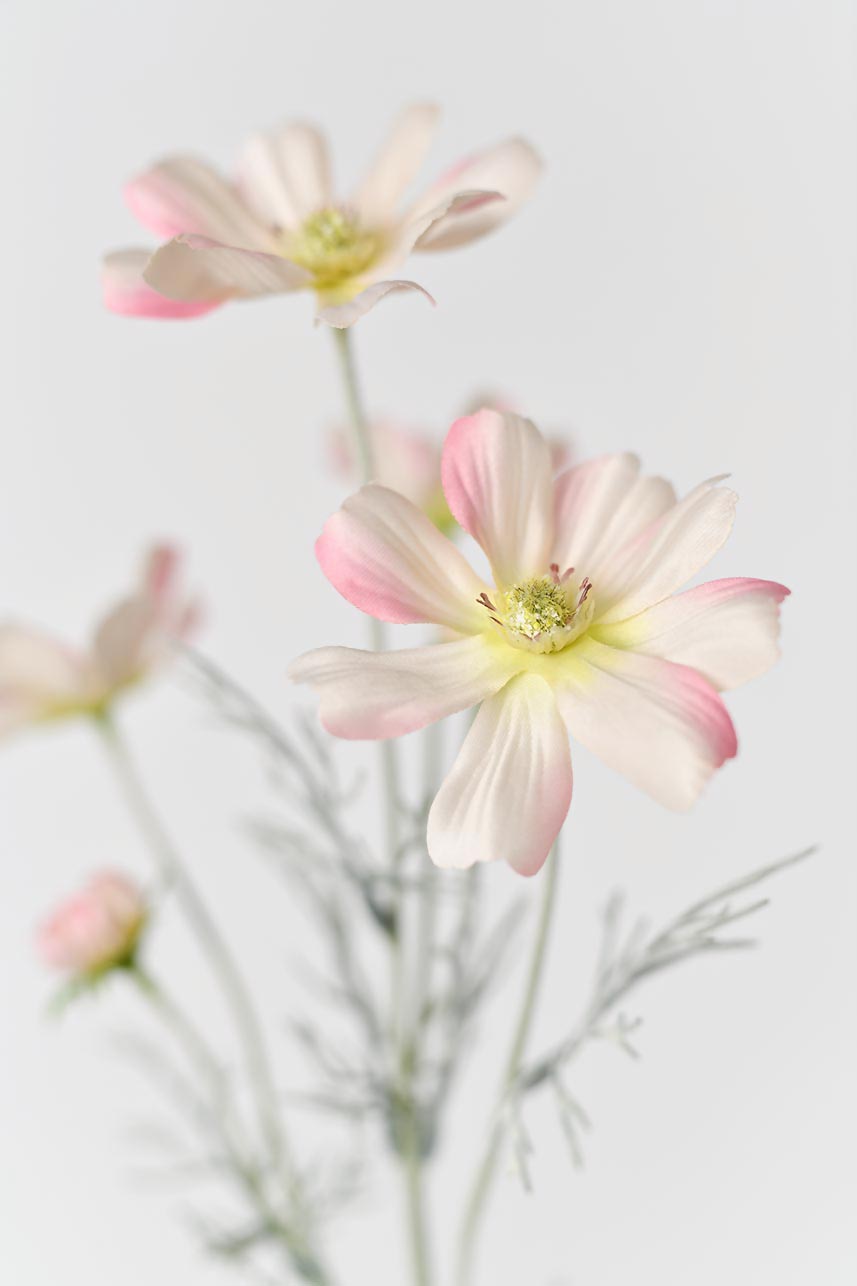 A close-up of the silk blush pink petals with their signature yellow center, and realistic faux silk texture.