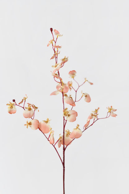 Silkfloras artificial dancing orchid flowers in coral pink, 32 inches tall, a beautiful and vibrant floral arrangement that will brighten up any room.