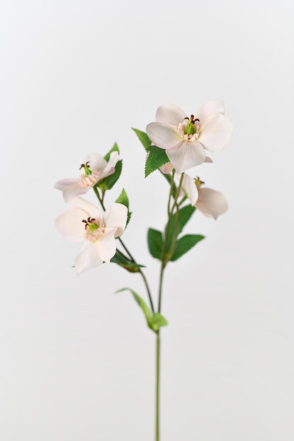 Silk peach-pink Helleborus flowers with 5 realistic blooms and green foliage.