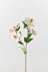 Silk peach-pink Helleborus flowers with 5 realistic blooms and green foliage.