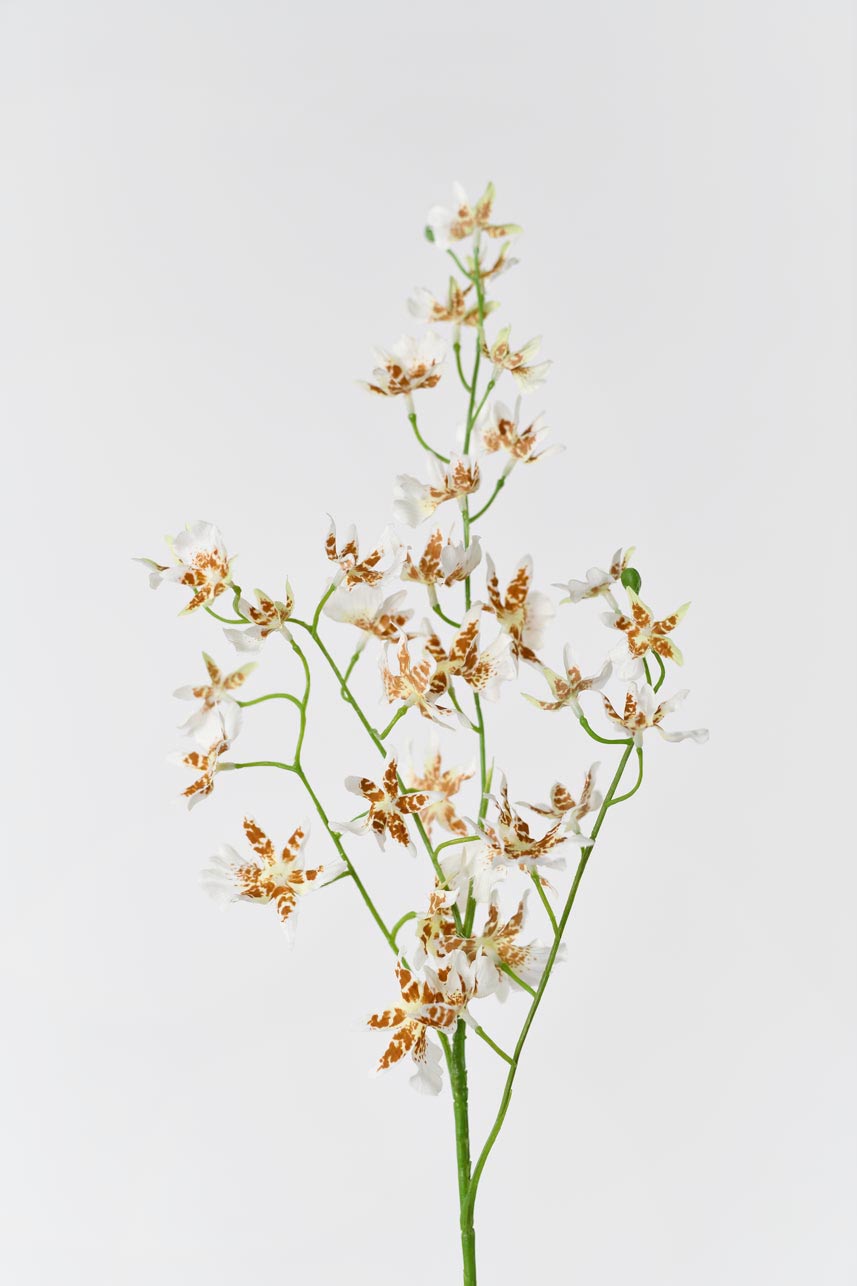 Silkfloras artificial cream white oncidium flowers, 32 inches tall, a beautiful and elegant addition to any home decor.