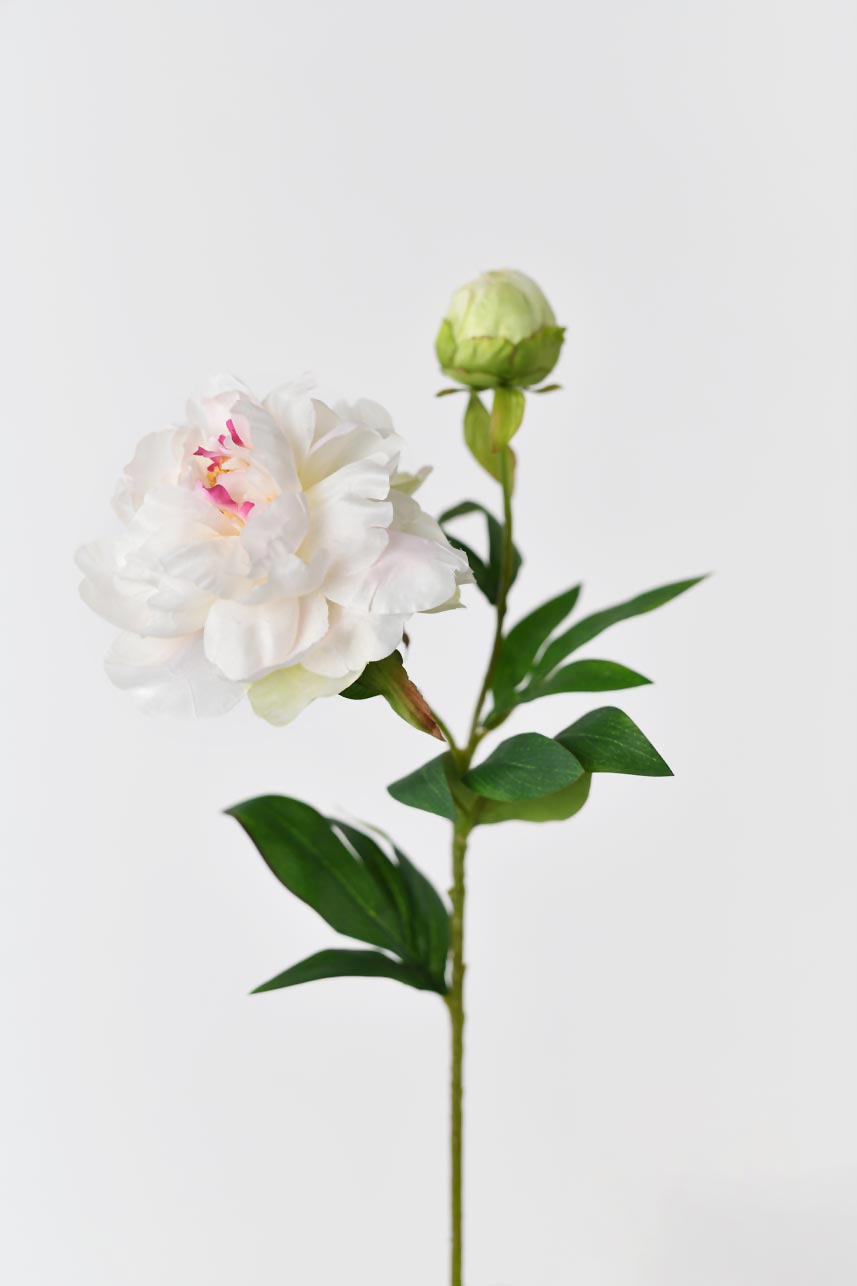 Faux phoenix peony flowers in gradient pink to white with 1 bud, perfect for adding spring color to any space.