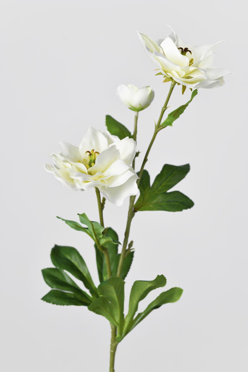 The cream white artificial clematis has three flowers with full color foliage and an overall natural and vibrant look.