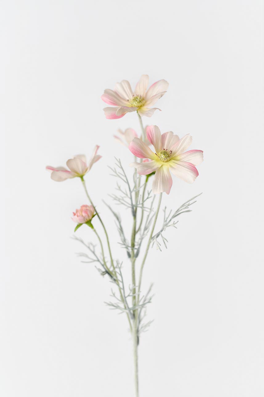 Six large faux blush pink Cosmos blooms, perfect for adding a touch of elegance to any space.
