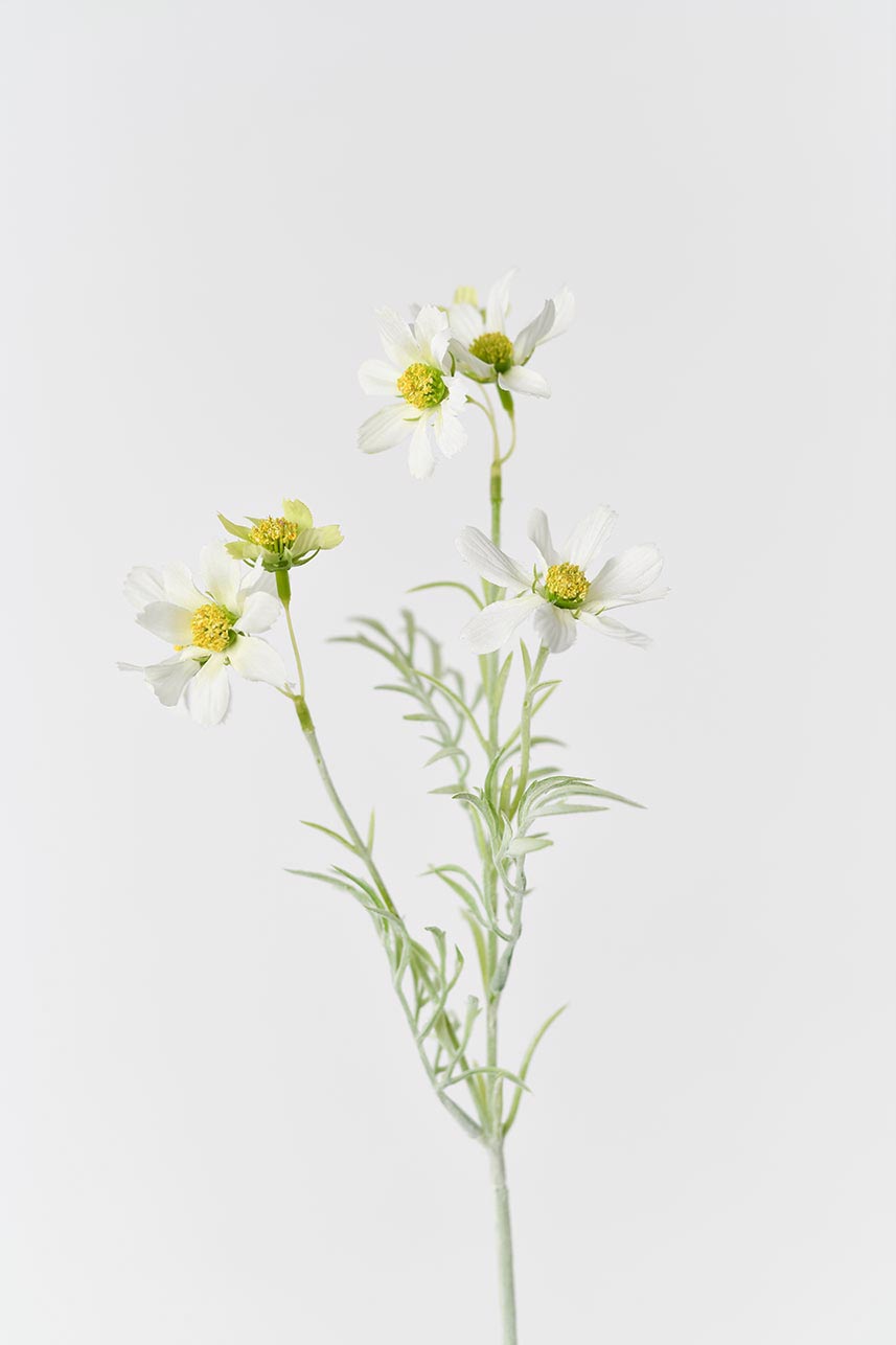 A bouquet of cream and white artificial cosmos flowers with green stems and leaves, standing at 19 inches in height.