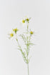 A bouquet of cream and white artificial cosmos flowers with green stems and leaves, standing at 19 inches in height.