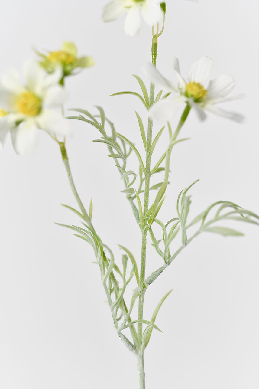 A set of cream and white artificial cosmos flowers with realistic flocking on the stems, creating a lifelike appearance.