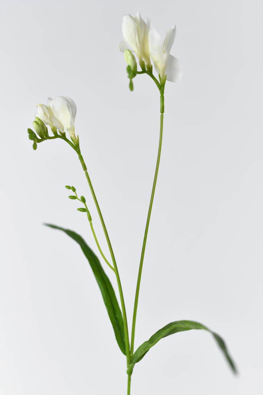 A decorative and realistic-looking artificial freesia flower in cream white color.