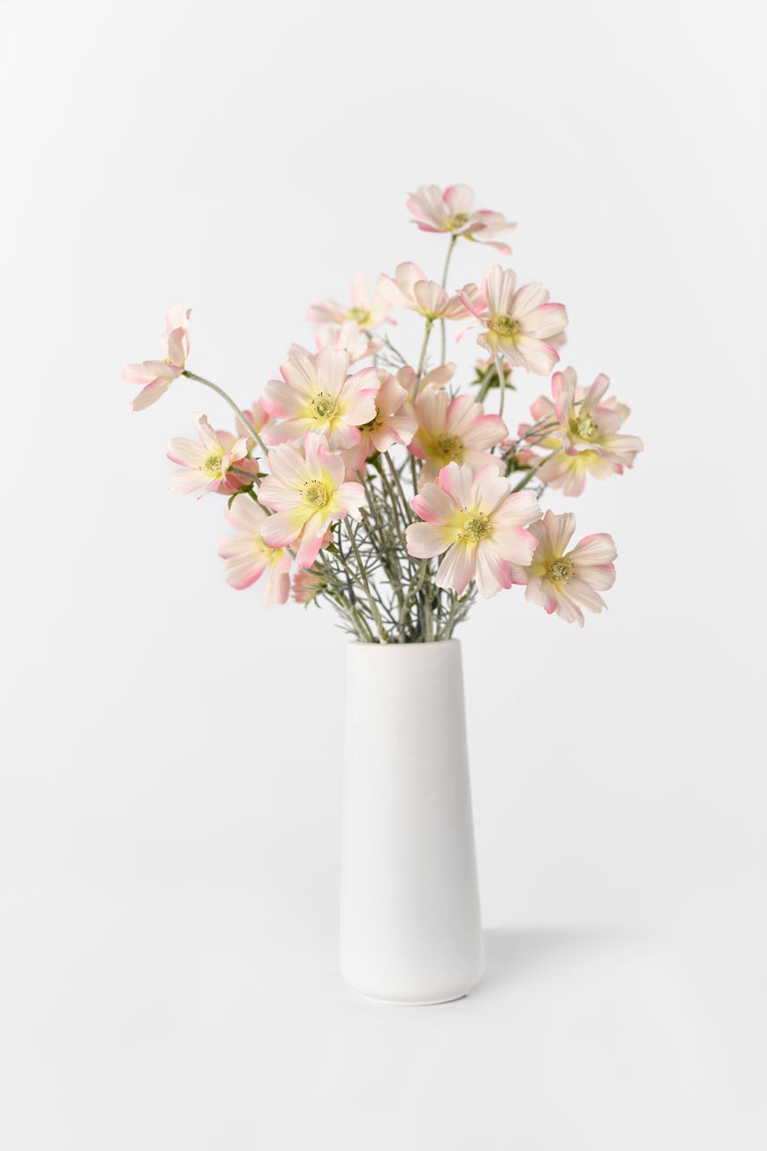 The silk blush pink Cosmos flowers arranged in a vase, bringing a pop of color and everlasting beauty to any room.