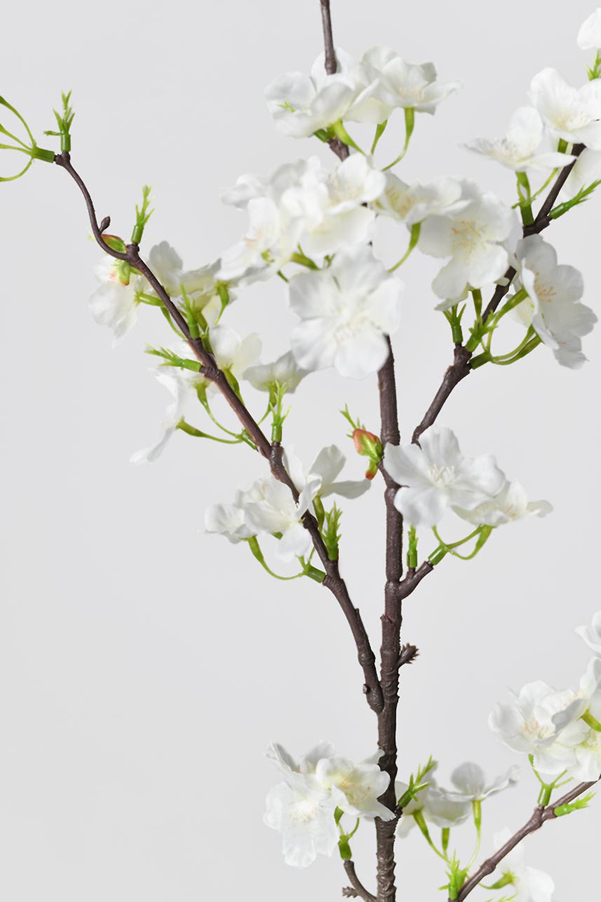 A close-up detail of cream white cherry blossom flowers with green leaves, adding a chic touch to your home style home.