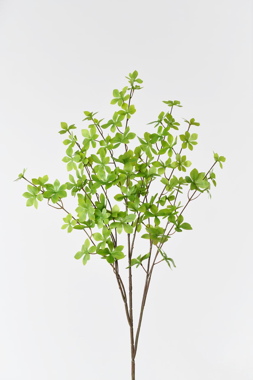 Large artificial light green enkianthus perulatus, 51 inches tall, adding beauty and color to your space.