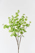 Large artificial light green enkianthus perulatus, 51 inches tall, adding beauty and color to your space.