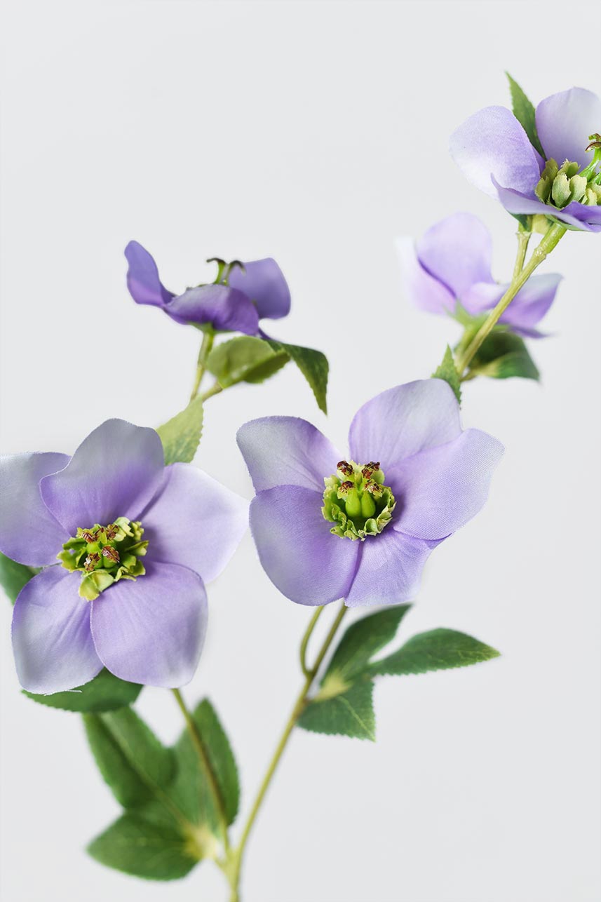A close-up of the detailed light purple Helleborus silk blooms, featuring delicate petals and green centers.