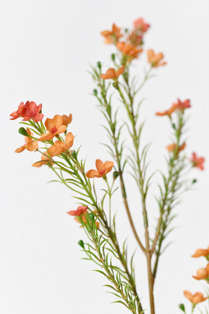 &quot;Silkfloras faux Chimonanthus Praecox flowers in orange, 24 inches tall, with realistic petals and textures for a lifelike touch.&quot;