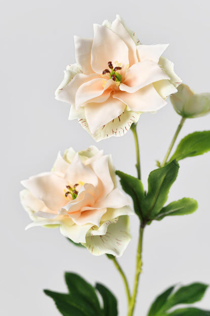 Fake flower petals with layers of color, stamens made of plastic, the overall look of vivid, ideal for home decoration or faux floral bouquet.