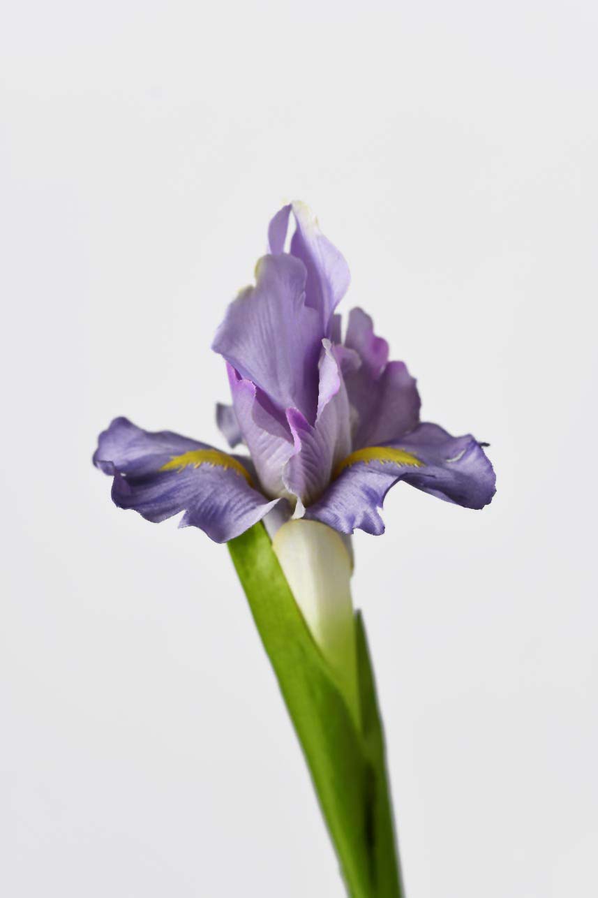 A close-up detail of artificial Iris flowers branch’s purple petals, creates a textured medley of foliage.