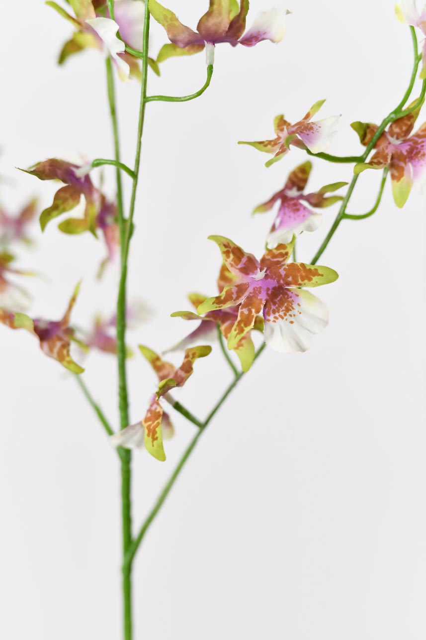 Faux white and green oncidium silk flowers with realistic petal textures, adding a touch of elegance to your decor.