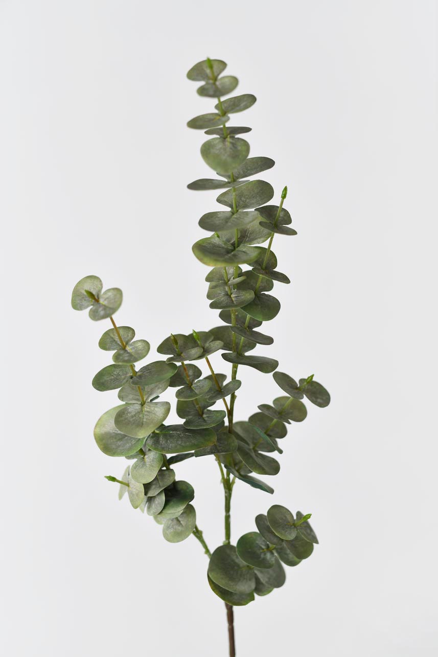 Lifelike green and grey spiral eucalyptus leaves, 35 inches tall, perfect for adding a touch of nature to your home decor.