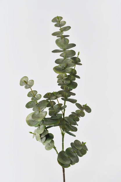 Mini Eucalyptus gris Cahier à spirale– Fox & Fallow