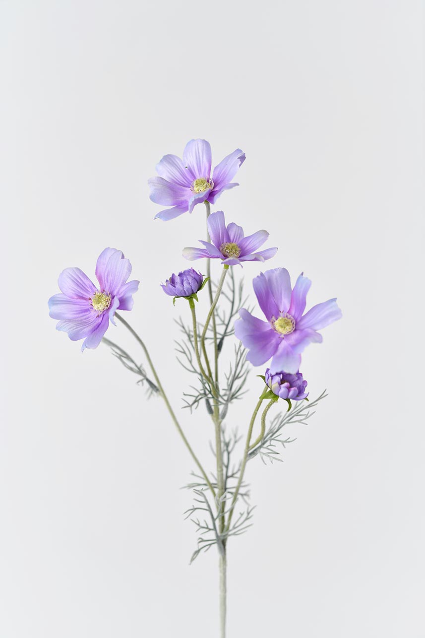 Six light purple Faux Cosmos flowers with delicate petals and yellow centers in full bloom.