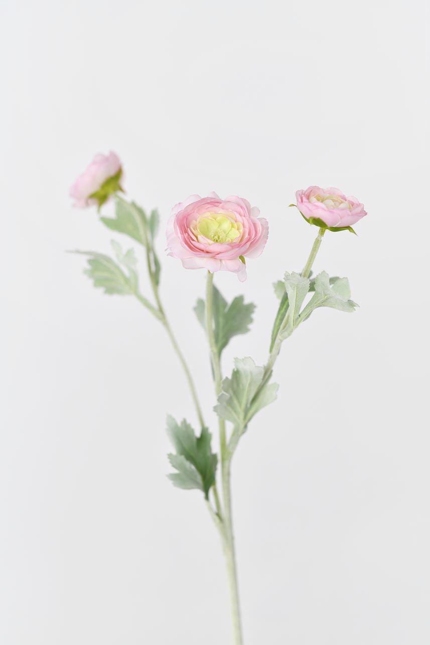 A beautiful and lifelike faux ranunculus silk flower in a mauve pink color with faux stems. Perfect for home decoration or creating stunning floral arrangements.