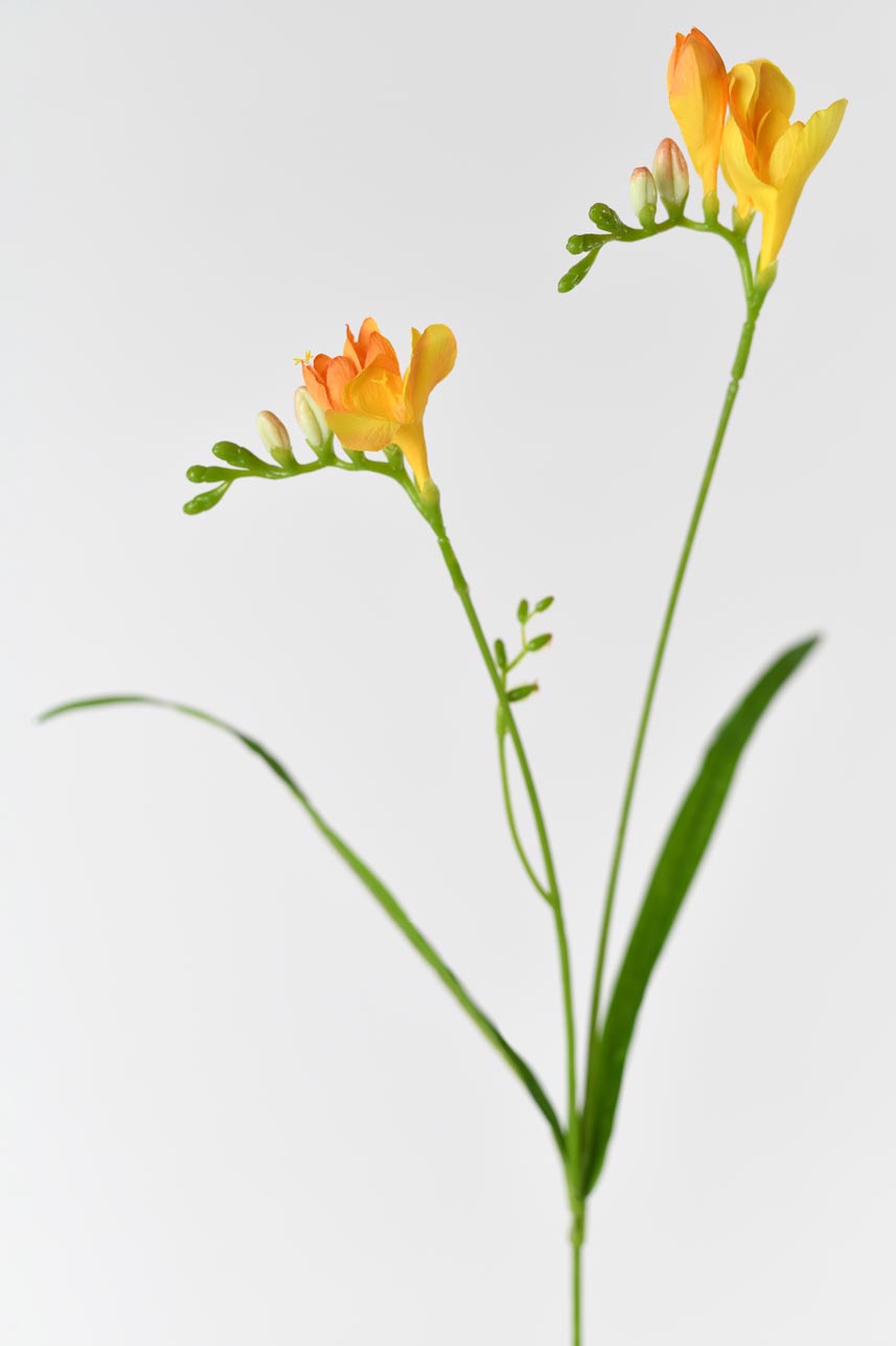 A perfect decoration for any home with this lifelike and beautiful faux freesia flower in orange color. Its faux stem and petals make it look realistic and natural.
